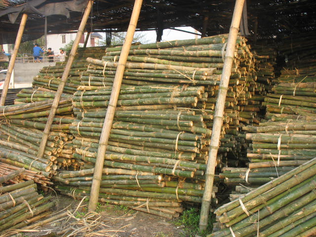 qui trình thi công cọc tre Đà nẵng